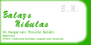 balazs mikulas business card